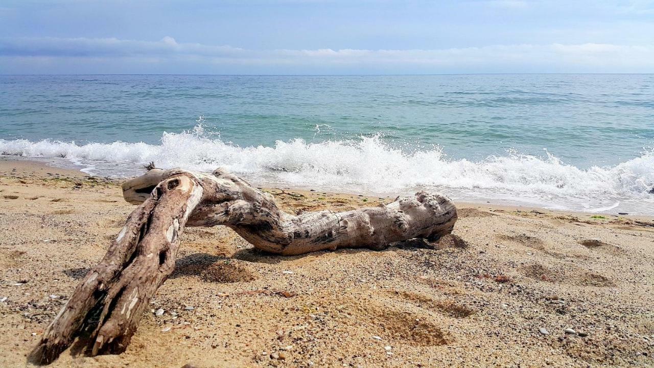 Silver Beach Delux Apartments Byala  Εξωτερικό φωτογραφία